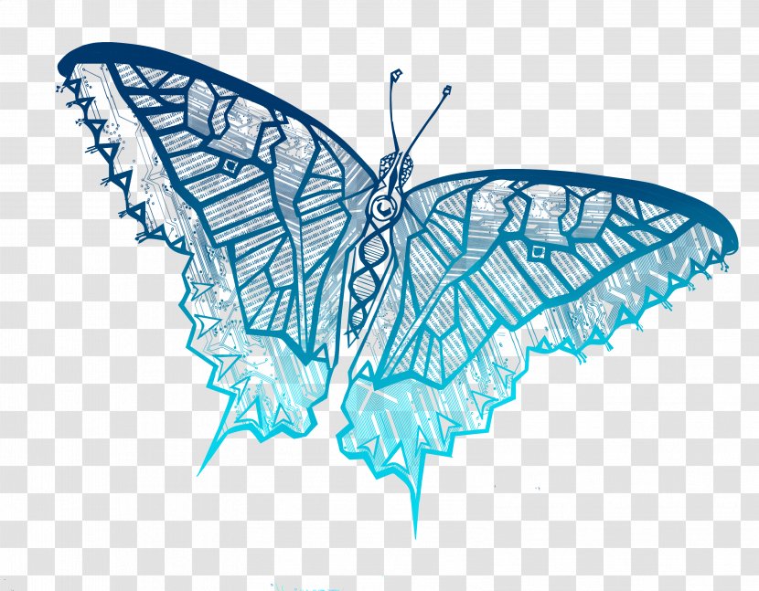 Butterfly Graphic Design - Moths And Butterflies - Hand Painted Transparent PNG