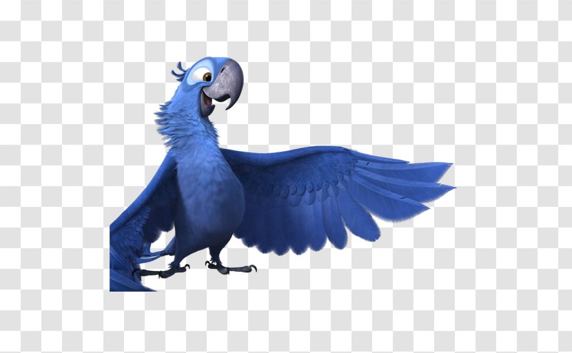 Macaw Parrot Bird Cobalt Blue Perico - Beak - Rio2 Blu 2 Transparent PNG