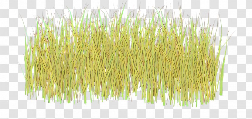 Grass Background - Family - Aquarium Decor Plant Transparent PNG