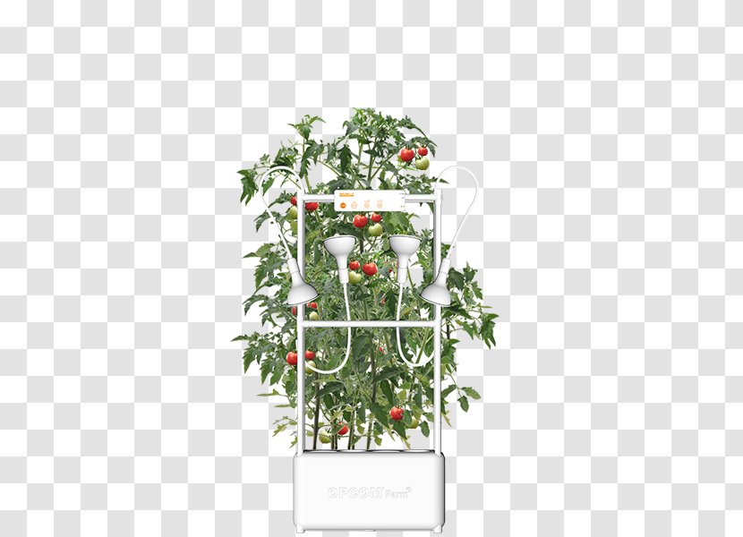 Hydroponics Farm Grow Box Flowerpot Nutrient Film Technique - Amazoncom - Hydroponic Transparent PNG