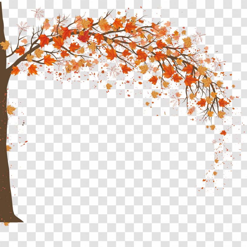 Autumn Adobe Illustrator - Point - Maple Background Design Transparent PNG