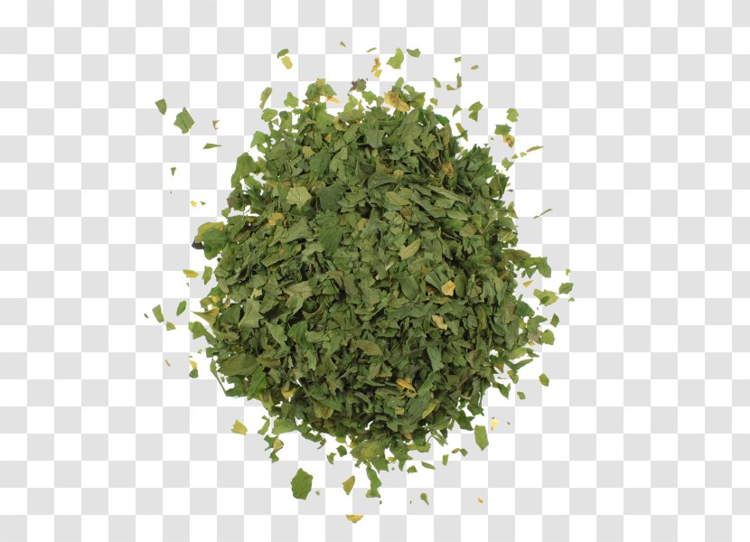 Herb Confetti Wedding Table Party - Parsley Transparent PNG