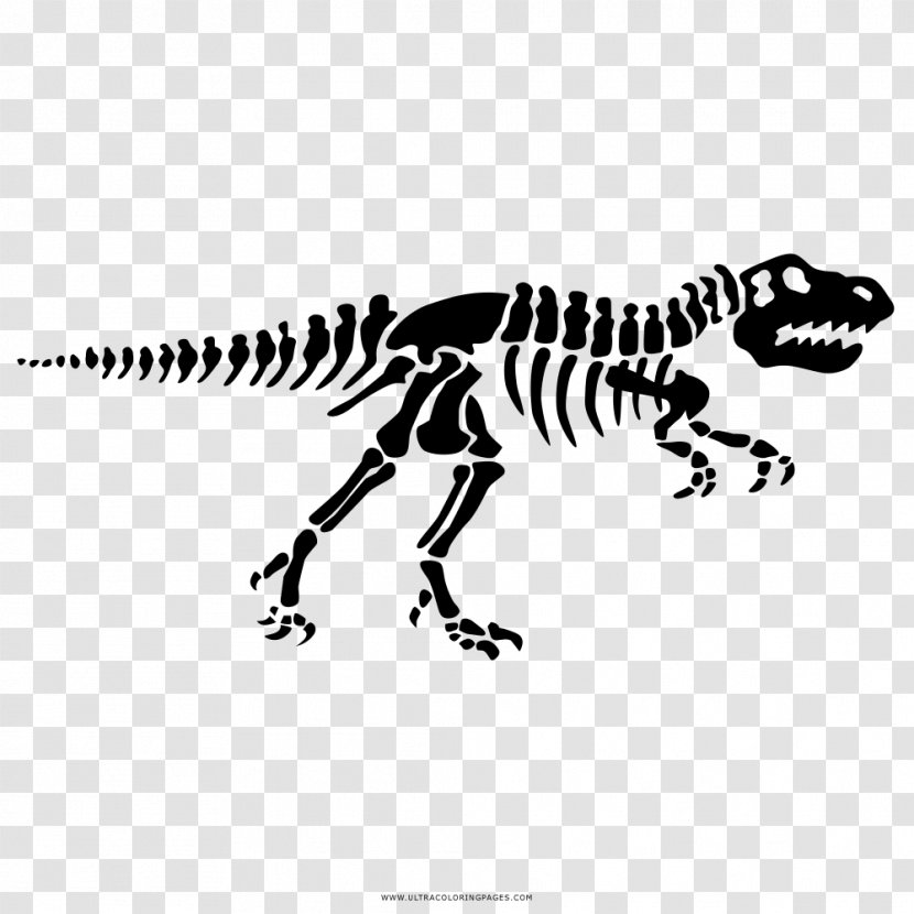 Dinosaur Footprints Reservation Tyrannosaurus Stegosaurus - Skeleton Transparent PNG