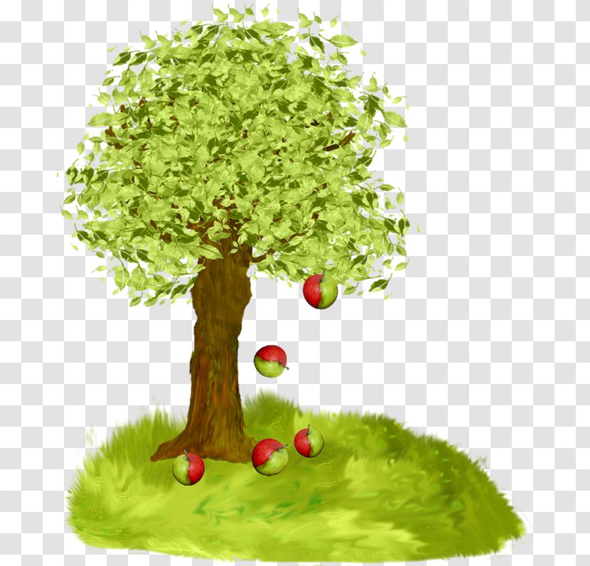 Fruit Tree Apple - Green - Landing Transparent PNG