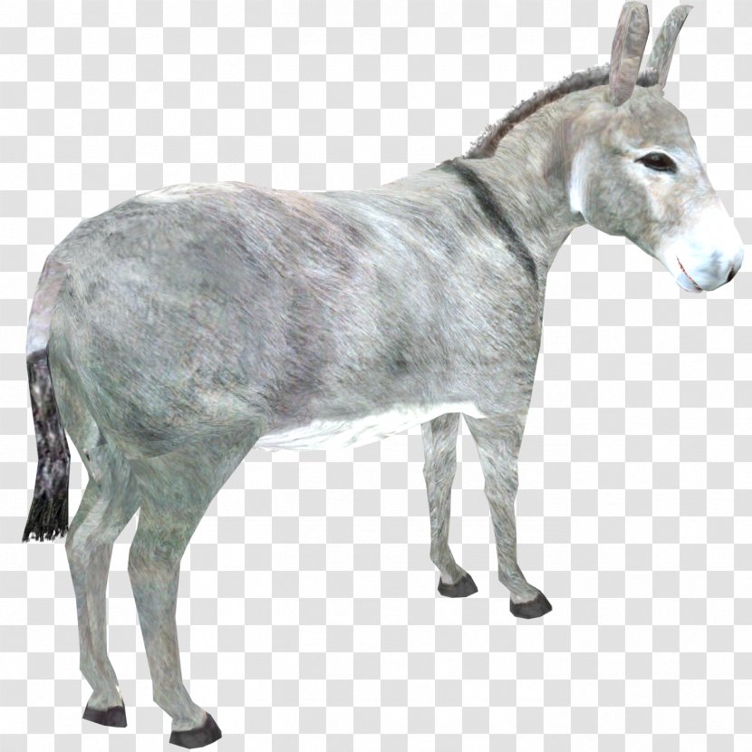 Zoo Tycoon 2 Horses Goat Donkey - Mammal Transparent PNG