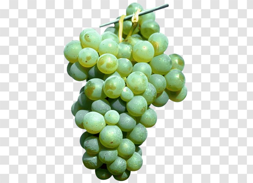 Sultana Common Grape Vine Seedless Fruit Seed Extract - Grapevine Family Transparent PNG