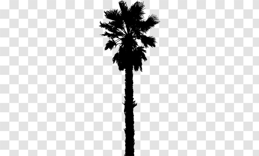 Arecaceae Date Palm Silhouette Clip Art - Black And White Transparent PNG