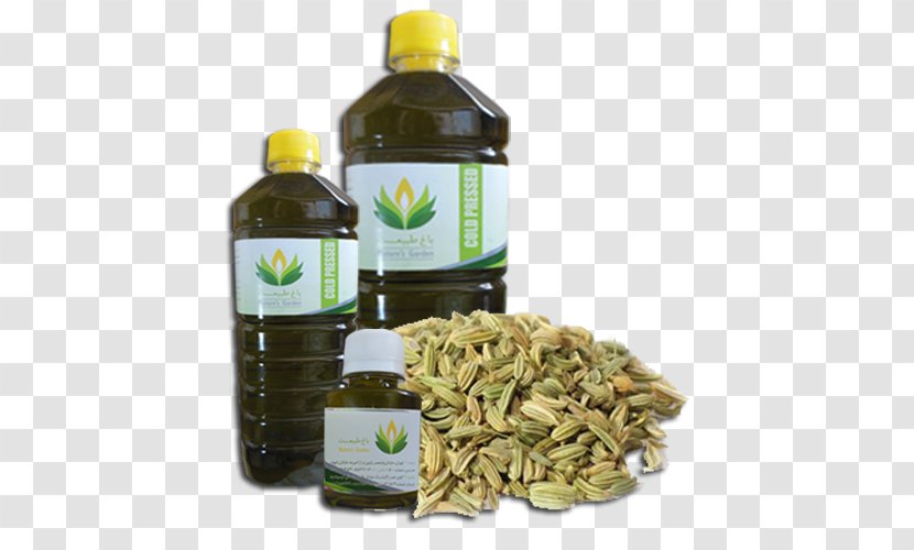 Soybean Oil Fennel Flower Herb - Ingredient Transparent PNG