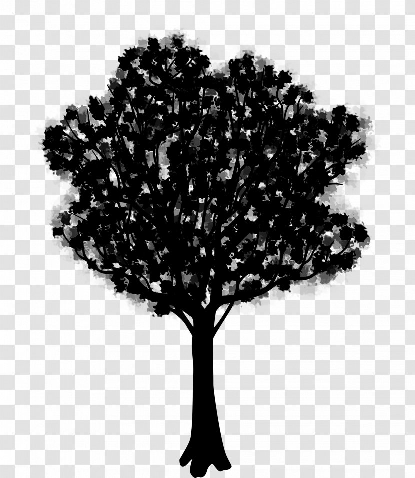 Branching - Leaf - Tree Transparent PNG