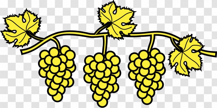 Heraldry Vigne Drawing Common Grape Vine Clip Art - Honey Bee Transparent PNG