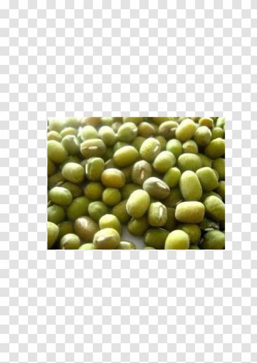 Mung Bean Vegetarian Cuisine Superfood - Fruit - Kacang Hijau Transparent PNG