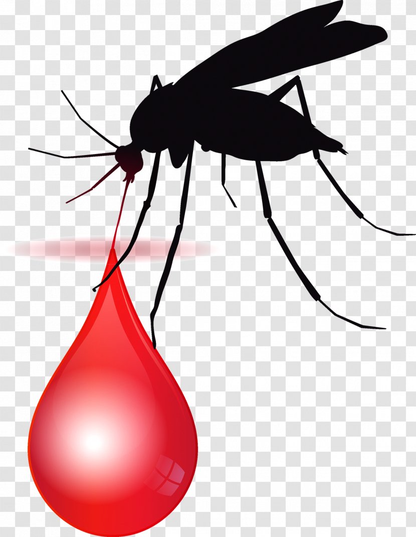 Africa Le Paludisme Malaria Vector Medicine - Pest - Bloodsucking Mosquitoes Transparent PNG