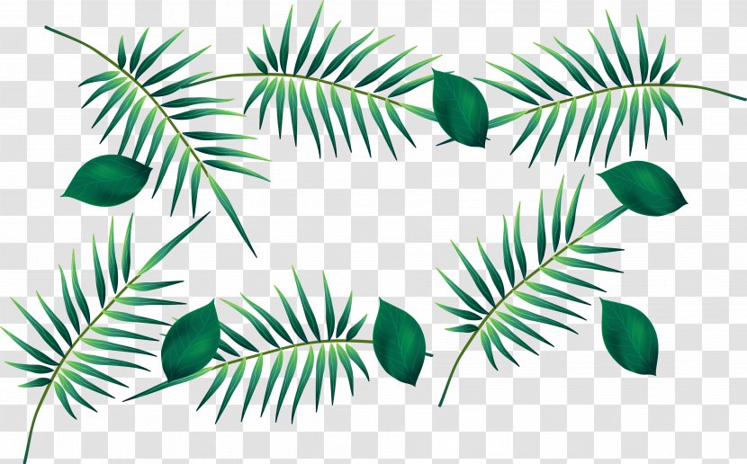Green Leaf Watercolor Painting - Palm Tree - Drawing Vector Banana Transparent PNG