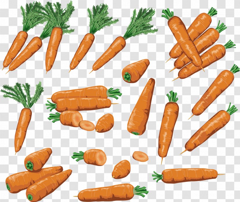 Sausage Hot Dog Bockwurst Knackwurst Baby Carrot - Bologna - Carrots Image Transparent PNG