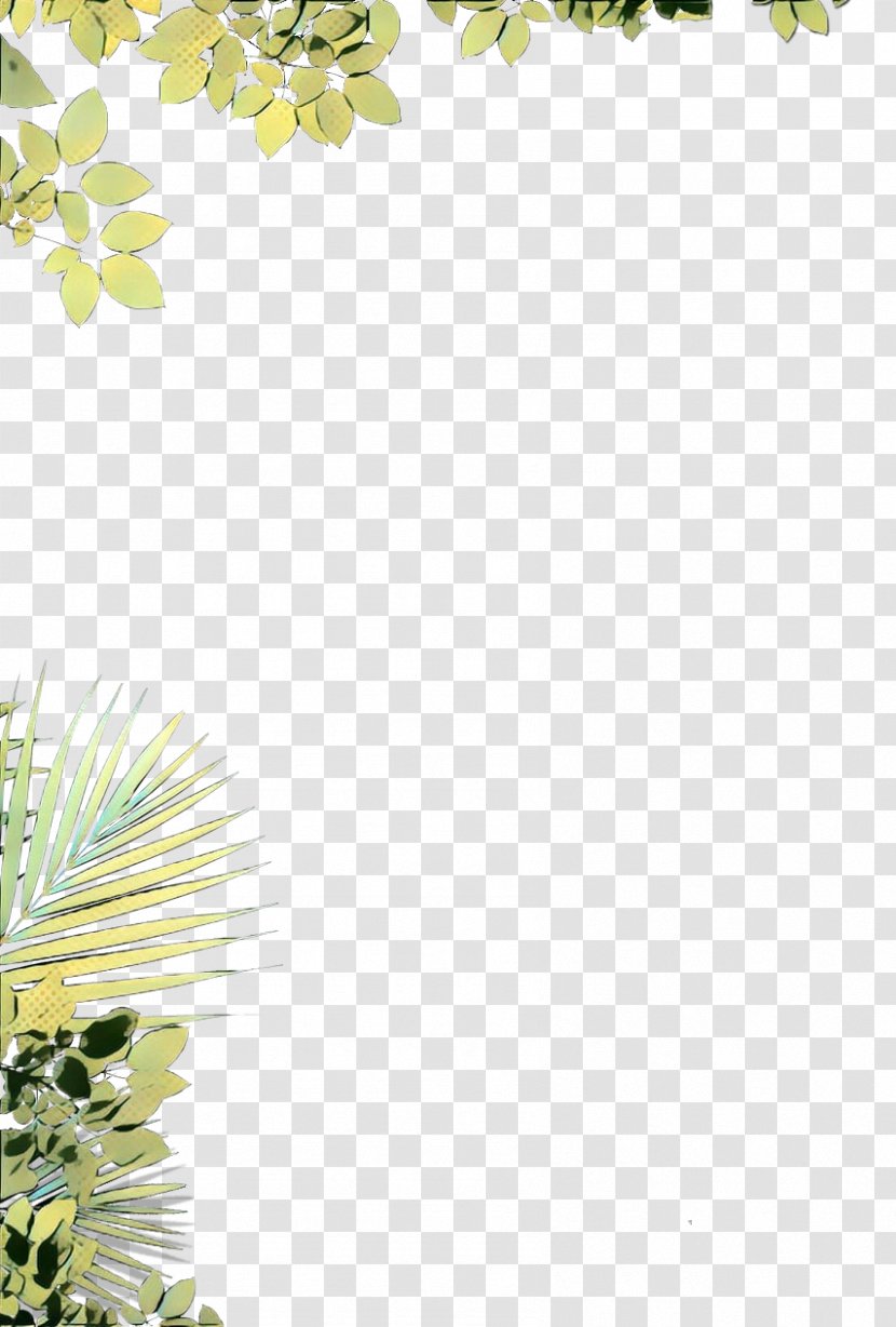 Flower Line Art - Plants - Wildflower Vascular Plant Transparent PNG