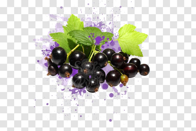 Zante Currant Juice Blackcurrant Redcurrant Berries - Elderberry Transparent PNG