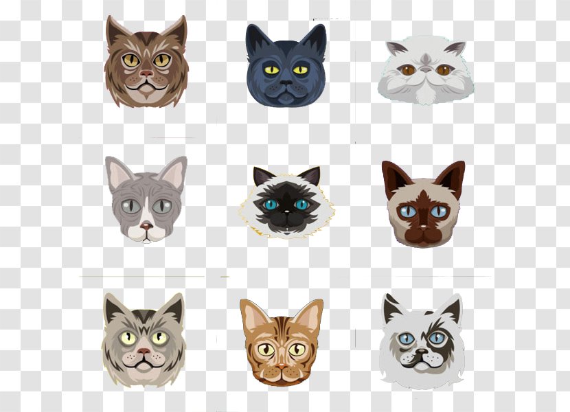 Cat Whiskers Avatar - Carnivoran - Kitten Transparent PNG