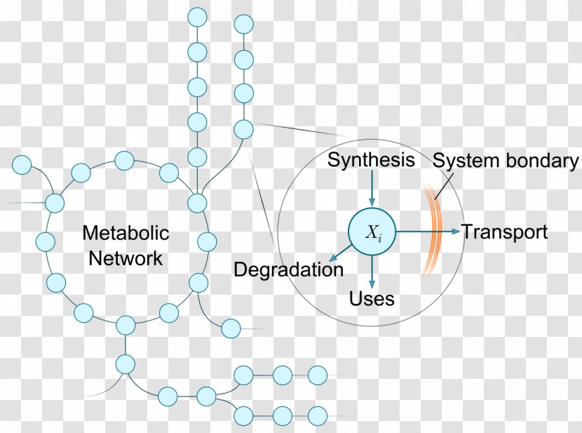 Diagram Chemistry Water - Organization Transparent PNG