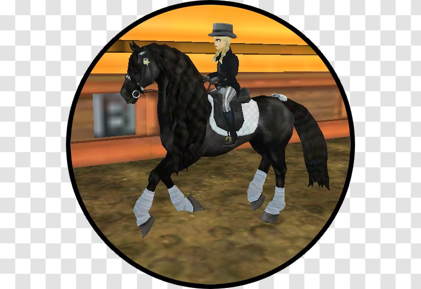 Horse Tack Equestrian Hunt Seat English Riding - Harvest Festival Transparent PNG