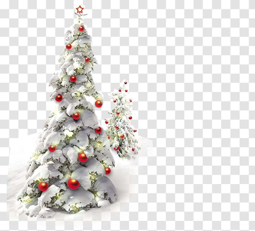 Christmas Tree Santa Claus Ornament - Pine Transparent PNG