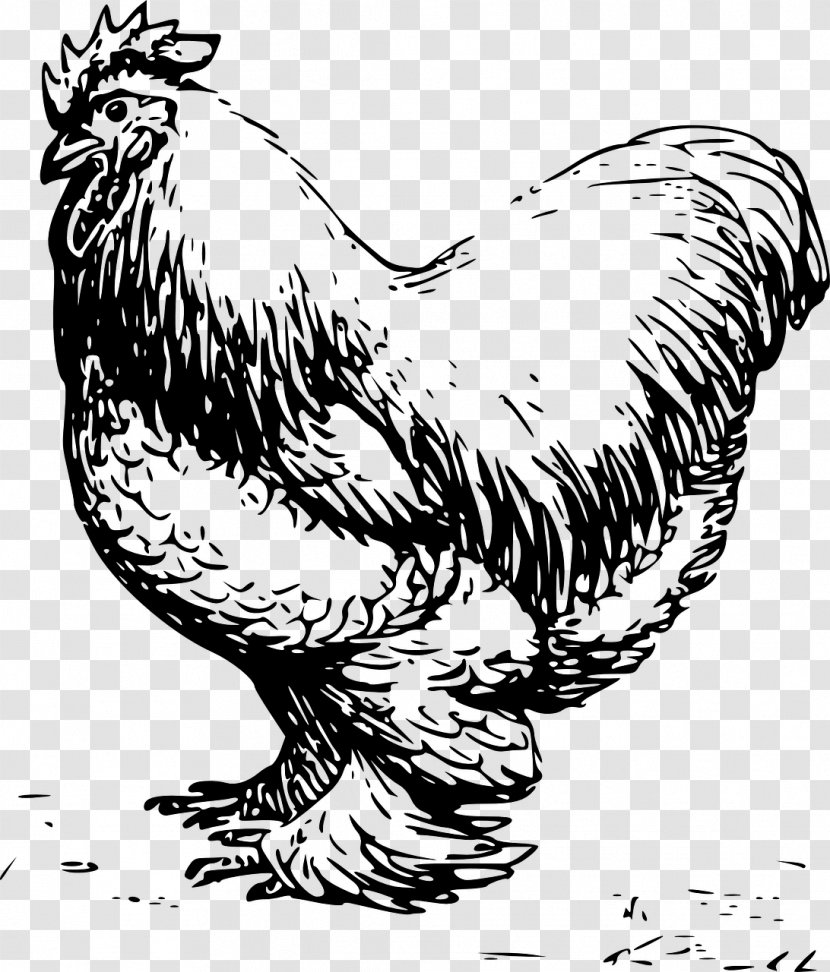 Cochin Chicken Silkie Leghorn Rooster Clip Art - Cartoon - Barbque Transparent PNG