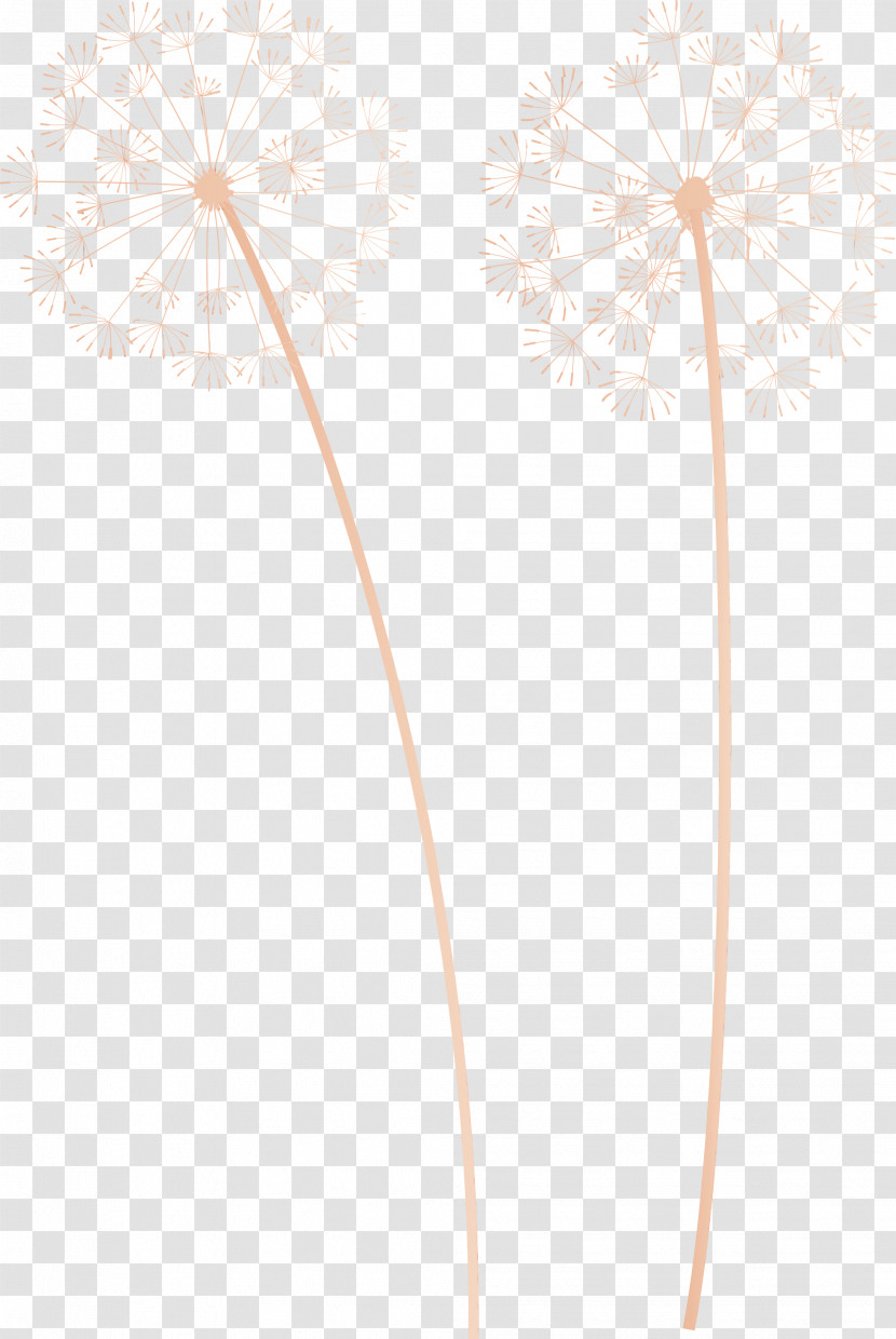 Plant Stem Flower Line Plants Biology Transparent PNG