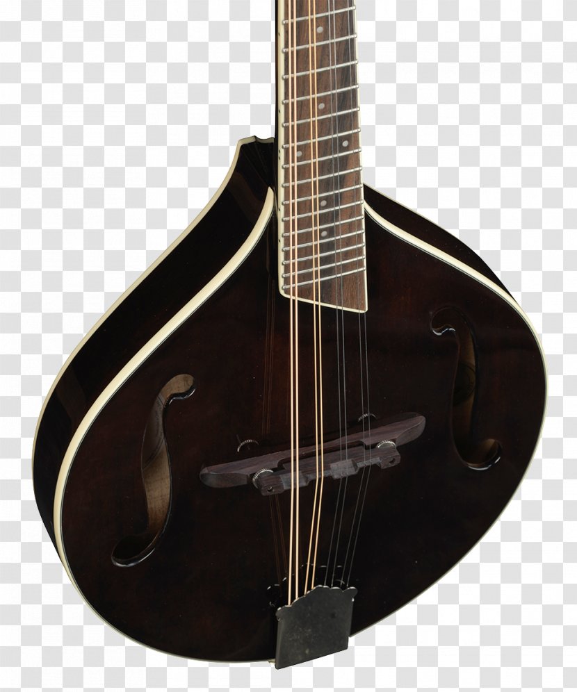 Bass Guitar Acoustic Mandolin Cuatro Tiple - Watercolor Transparent PNG