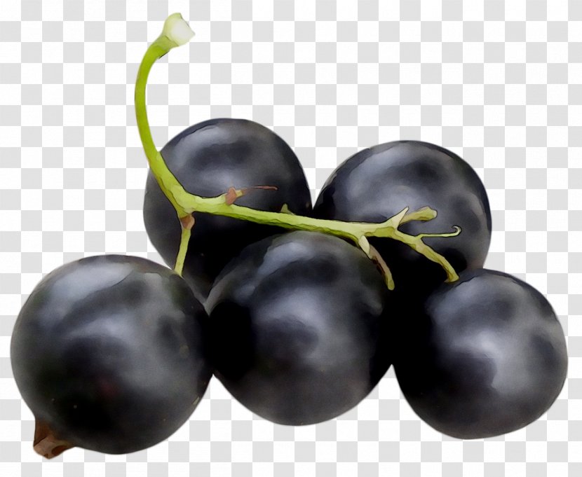 Grape Zante Currant Blueberry Bilberry Huckleberry - Prune Transparent PNG