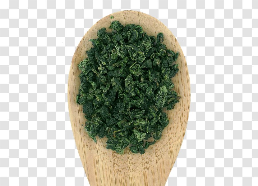 Parsley Tieguanyin Flowerpot Green Laver Spinach - Aonori - Guan Yin Transparent PNG