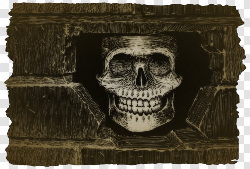 Skull - Skeleton Transparent PNG