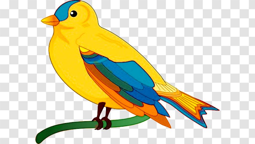 Lovebird Clip Art - Fauna - Bird Transparent PNG