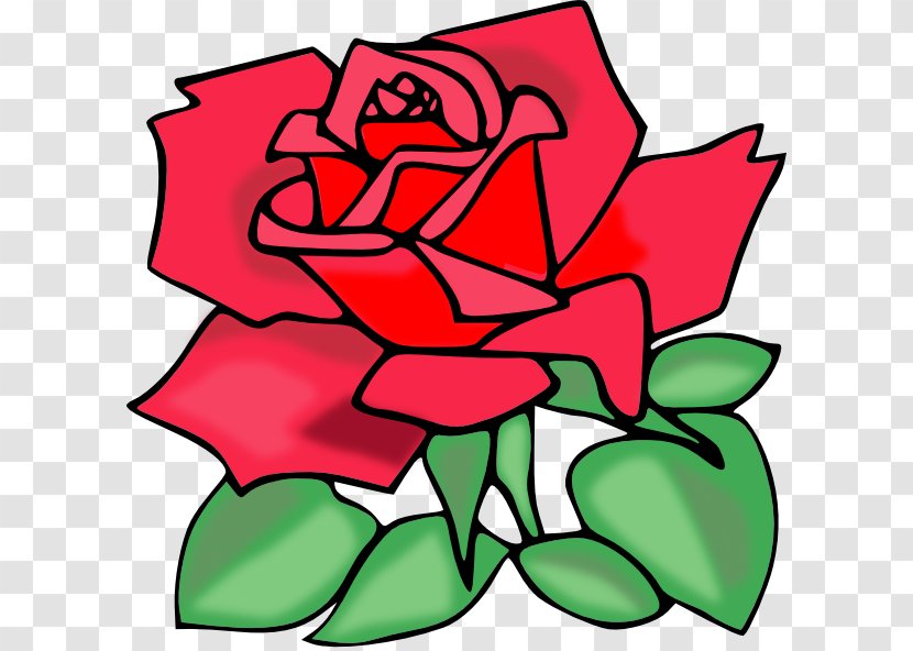 Rose Free Content Clip Art - Drawing - Images Clipart Transparent PNG