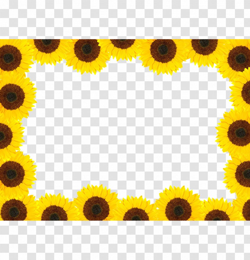 Common Sunflower - Symmetry Transparent PNG