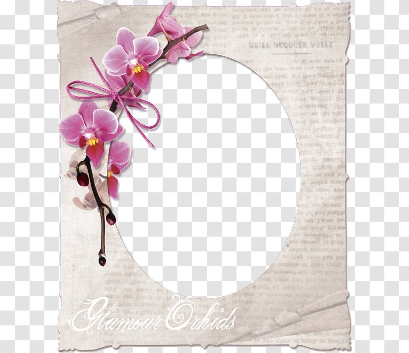 Flower Watercolor Painting Clip Art - Peach Frame Transparent PNG