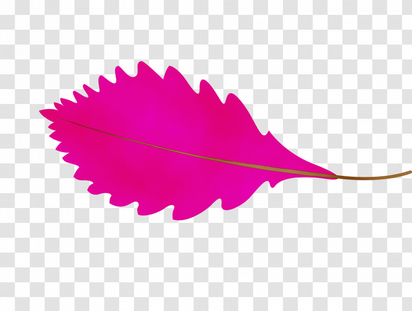 Leaf Petal M-tree Purple Line Transparent PNG