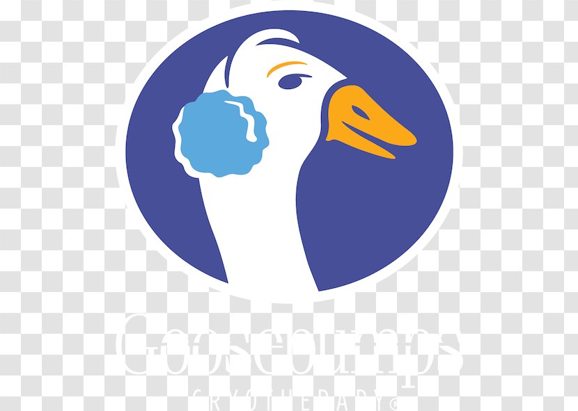 Goosebumps Cryotherapy Beak Clip Art - Bird Transparent PNG