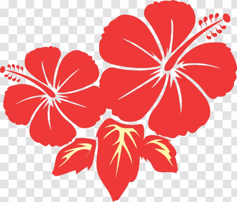 Clip Art - Rosemallows - Flower Hibiscus Transparent PNG