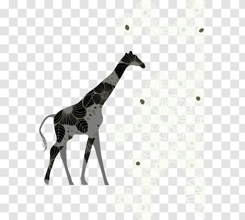 Giraffe Cartoon Illustration - Mammal - Shading Background Material Transparent PNG
