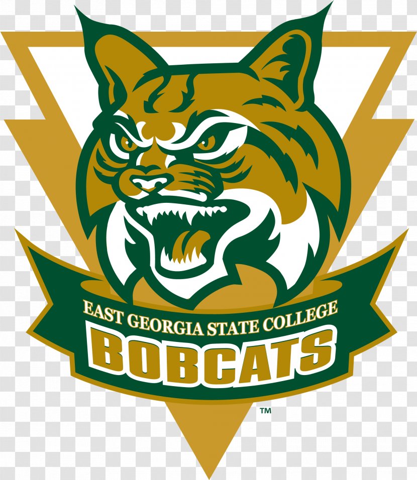 East Georgia State College & University Of Statesboro - Artwork - Baseball Transparent PNG