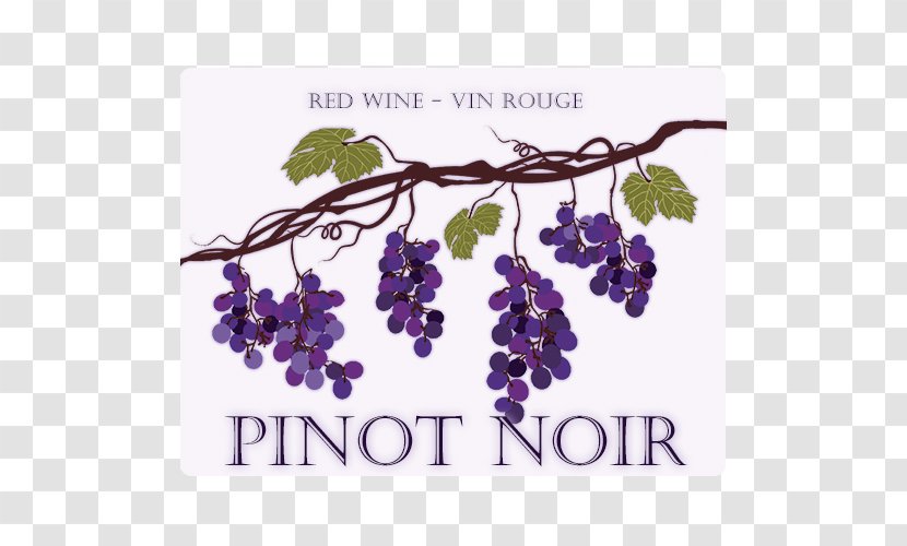 Grape Pinot Noir Wine - Violet - Remove Lables Transparent PNG