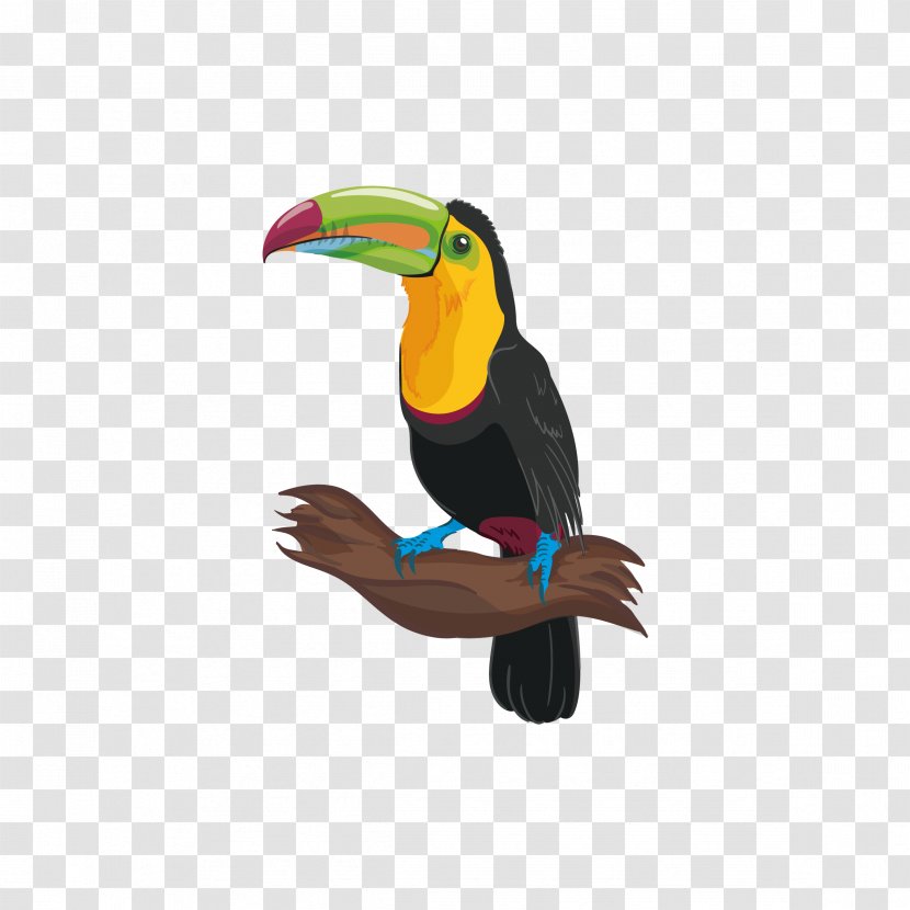Bird Adobe Illustrator - Coreldraw - Parrot Transparent PNG