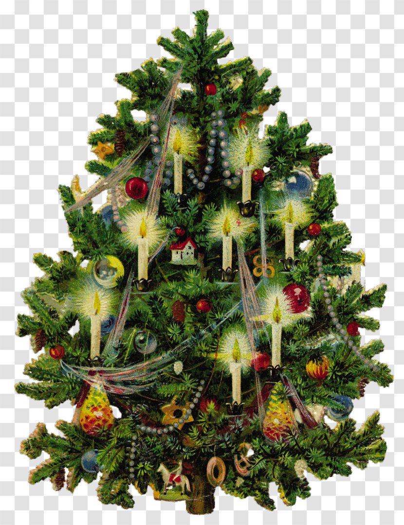 Christmas Tree - Interior Design - Holiday Ornament Transparent PNG