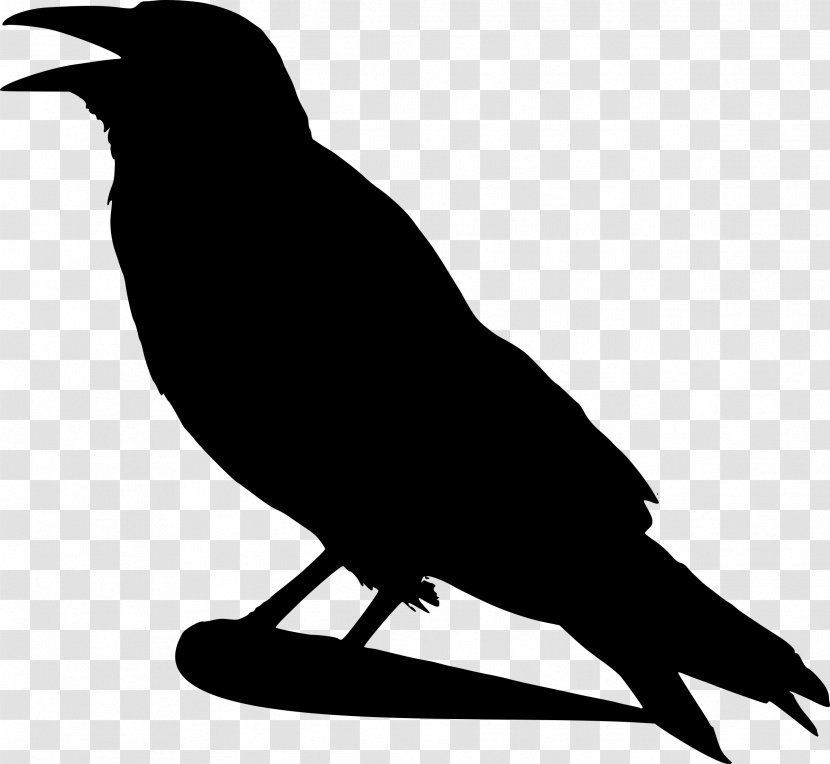 American Crow Bird Common Raven - Monochrome Photography - Silhouettes Transparent PNG