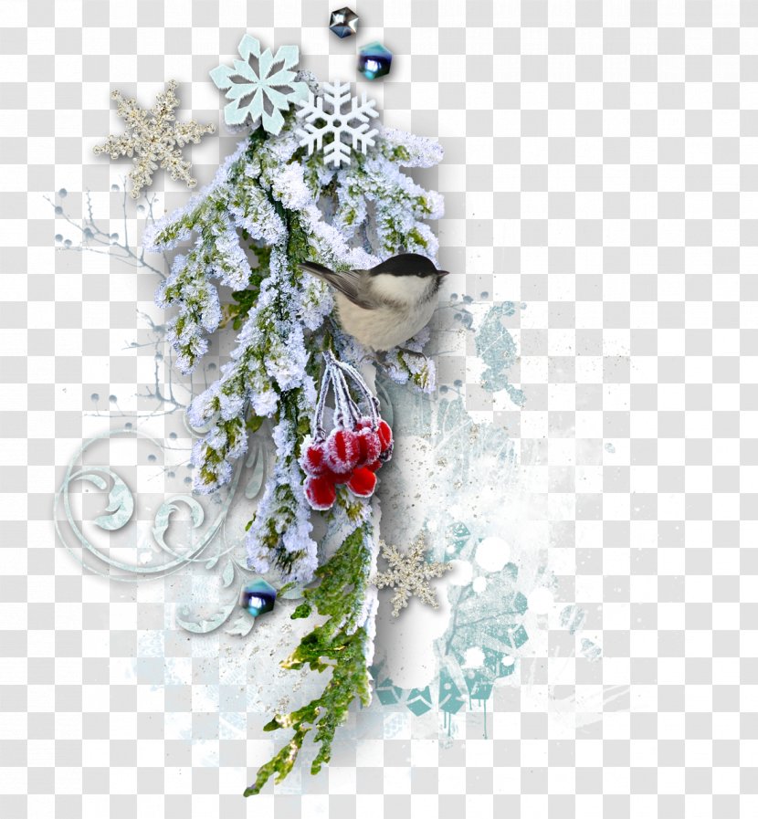 Christmas Tree New Year Collage - Winter Transparent PNG