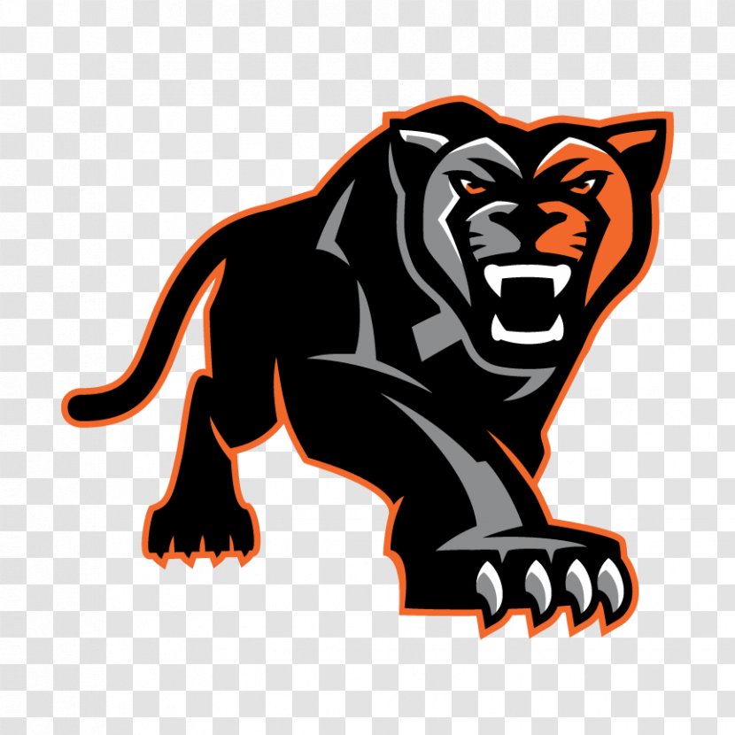 Orange High School National Secondary North Pitt - Wildlife - Gray Panther Transparent PNG