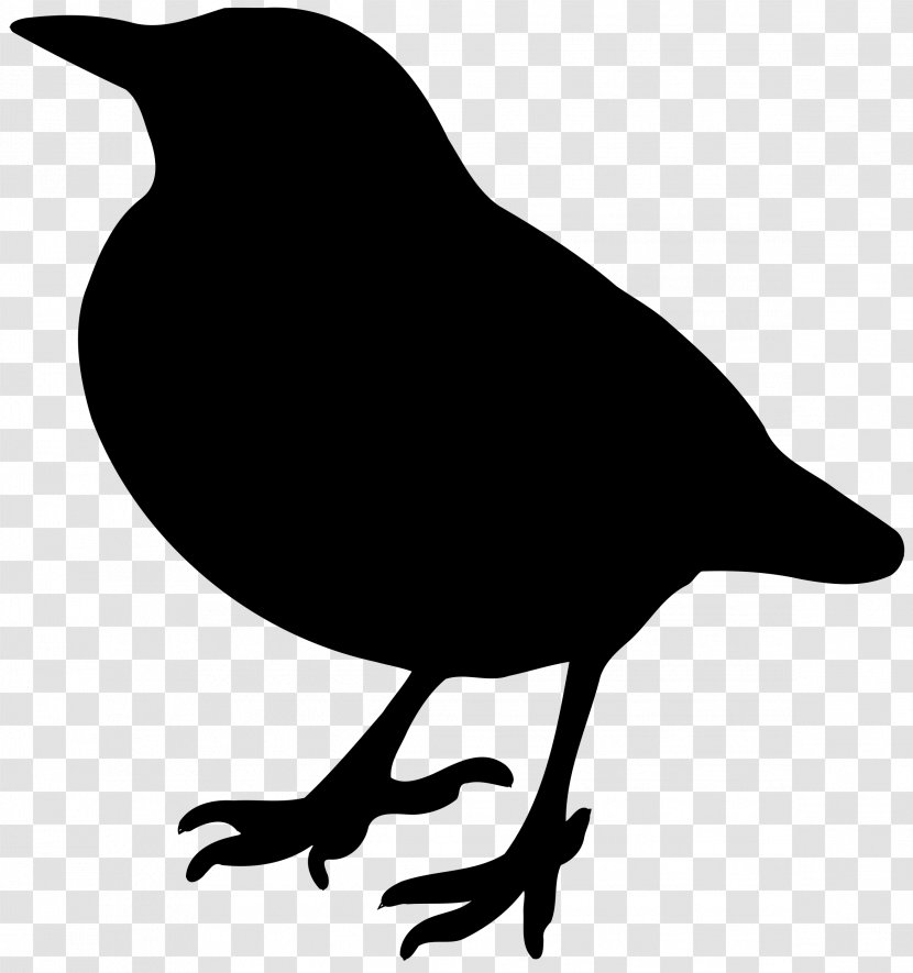American Crow Lovebird Silhouette Clip Art - Wing - Bird Transparent PNG