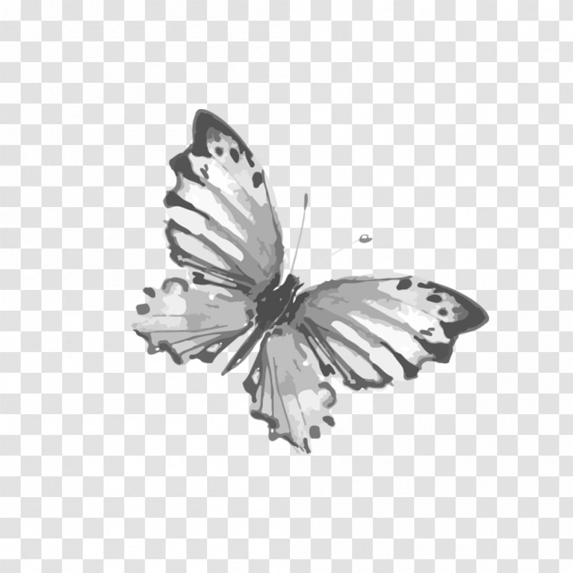 Butterfly Watercolor Painting - Monochrome Photography - Ink Fly Net Transparent PNG