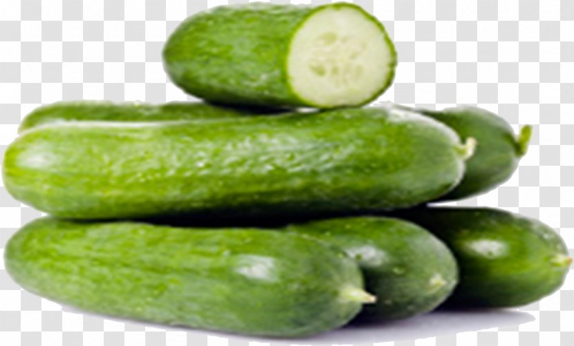 Food Vegetable Cucumber Natural Foods Cucumber, Gourd, And Melon Family - Cucumis - Pepino Spreewald Gherkins Transparent PNG
