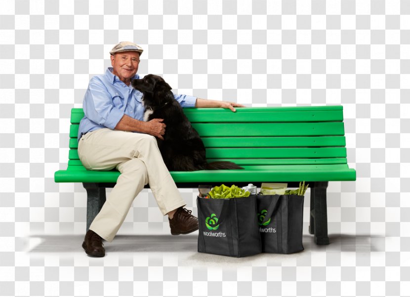 Cat Pet Insurance Dog Veterinarian - Harry Cooper Transparent PNG