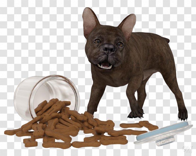 French Bulldog Puppy Dog Breed Companion Transparent PNG